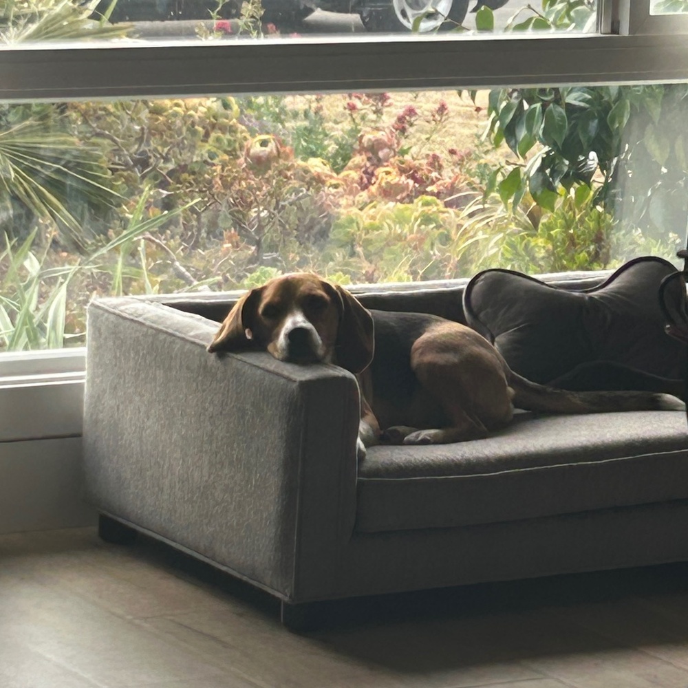 Meet your Posher, Adrienne